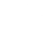 Absorber co2