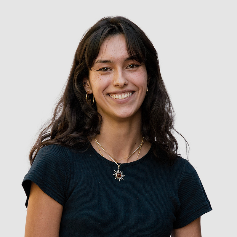 Ana Ginés